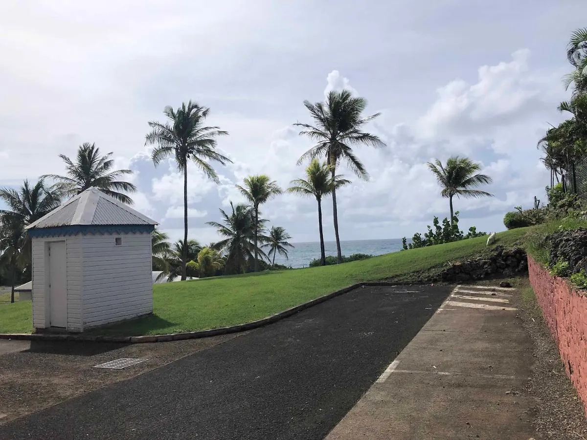 Studios Freebroise Saint-Francois  Saint-Francois (Grande-Terre)